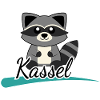 Kassel Waschbär