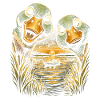 duck shooting