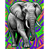 Elefant