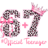 13° compleanno Meme divertente 67 Compleanno 13