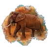 Aquarell Elefant Farbklecks