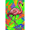 flamingo