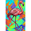 flamingo