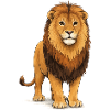 animal lion