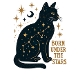 Star Cat Constellation