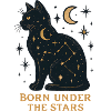 Sternenkatze Unter Sternen