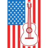 Guitar USA Flag