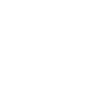 Heartbeat Cruise Ship Cruiser