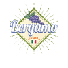 Bergamo Lombardy Italy Grapes Souvenir
