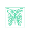 Radiologist Radiology X-ray Rad Tech MRI