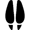 Deer Footprint
