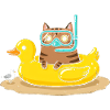 Diving Cat on Rubber Duck