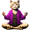 Cat Yogi