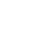 1966 Limited Edition 60th Birthday 1966