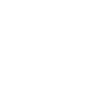 Fleischer