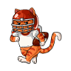 American Football Cat Rugby Kitten
