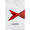 Snapped Fish Minimal Design Modern