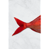 Red Fish Minimal Art Design