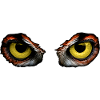 Owl Eyes 1
