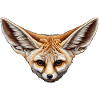 Fenec, Foxes