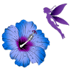 Hibiscus, Fleurs, Fées