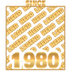 Hero 1980