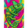 caméléon