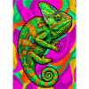 caméléon