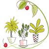Flowers Fantasy