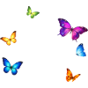 Inspiring Butterfly Monarch Butterfly Garden