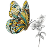Inspiring Butterfly Monarch Butterfly Garden