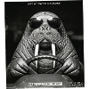 Walrus Speed Camera Photo