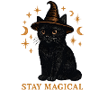 Cat Magic in the Witch's Hat
