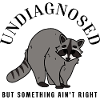 Undiagnosed But Something Ain't Right Raccoon