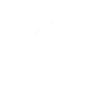 Fly