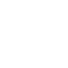 1984 Édition limitée 42e anniversaire 1984