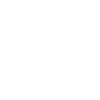 1976 Édition limitée 50e anniversaire 1976