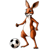 Fussball Känguru