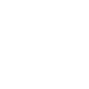 Manatee Spirit Animal