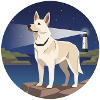 Lighthouse Watch: Can de Palleiro Nocturno