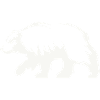 Silhouette d’ours