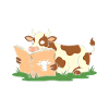 Cow reading in the grass