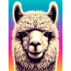 Alpaca