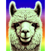 Alpaca