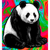 panda
