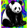 panda