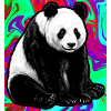 panda
