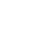 Palmier de Majorque 2026