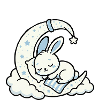 Haia Hase Kaninchen