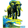 Elephant Surfer